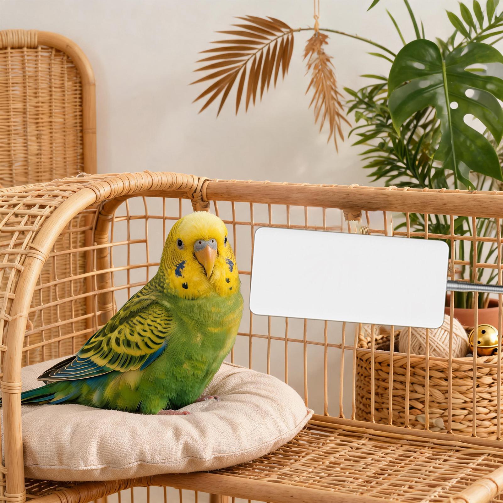 Smart Garden Bird Bath - Bird Heater 5V Safe Pet Winter