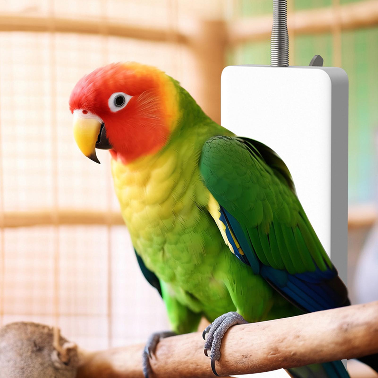 Pet Heater 5V Safe Pet Winter  - Smart Garden Bird Bath ulasan dan harga