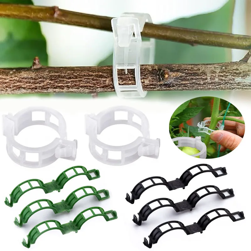 100PCS Plant Fixing Clips Reus - Smart Garden Hub ulasan dan harga