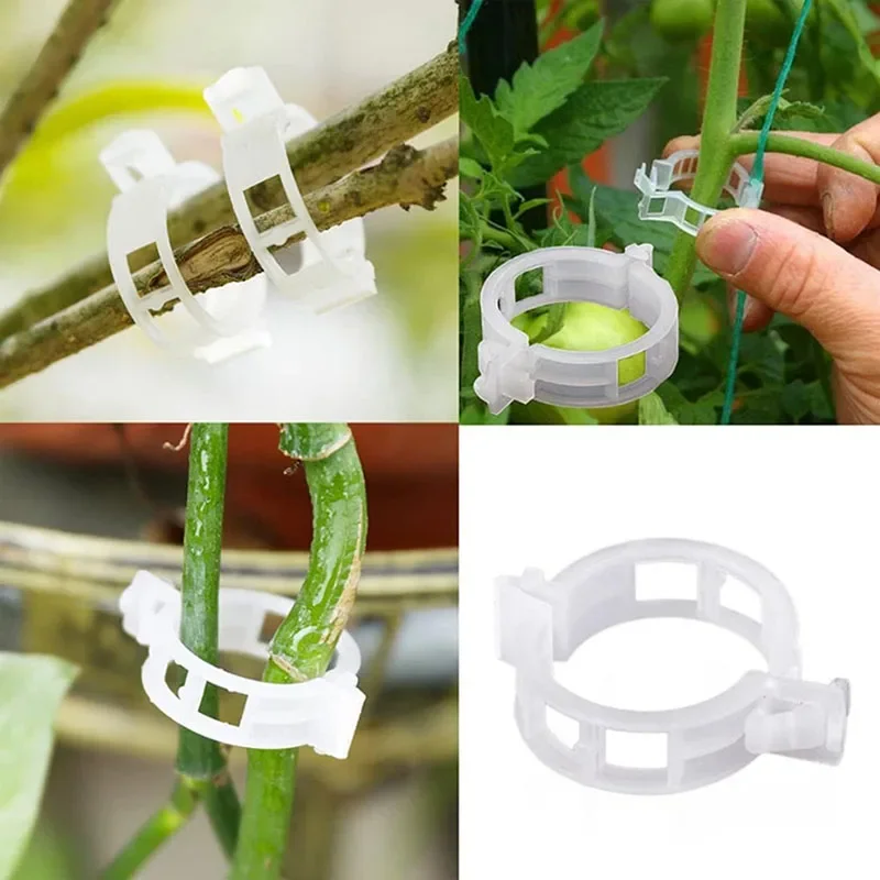 100PCS Plant Fixing Clips Reus - Smart Garden Hub ulasan dan harga