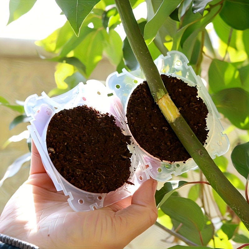 10Pcs High Pressure Plant Root - Smart Garden Storage ulasan dan harga