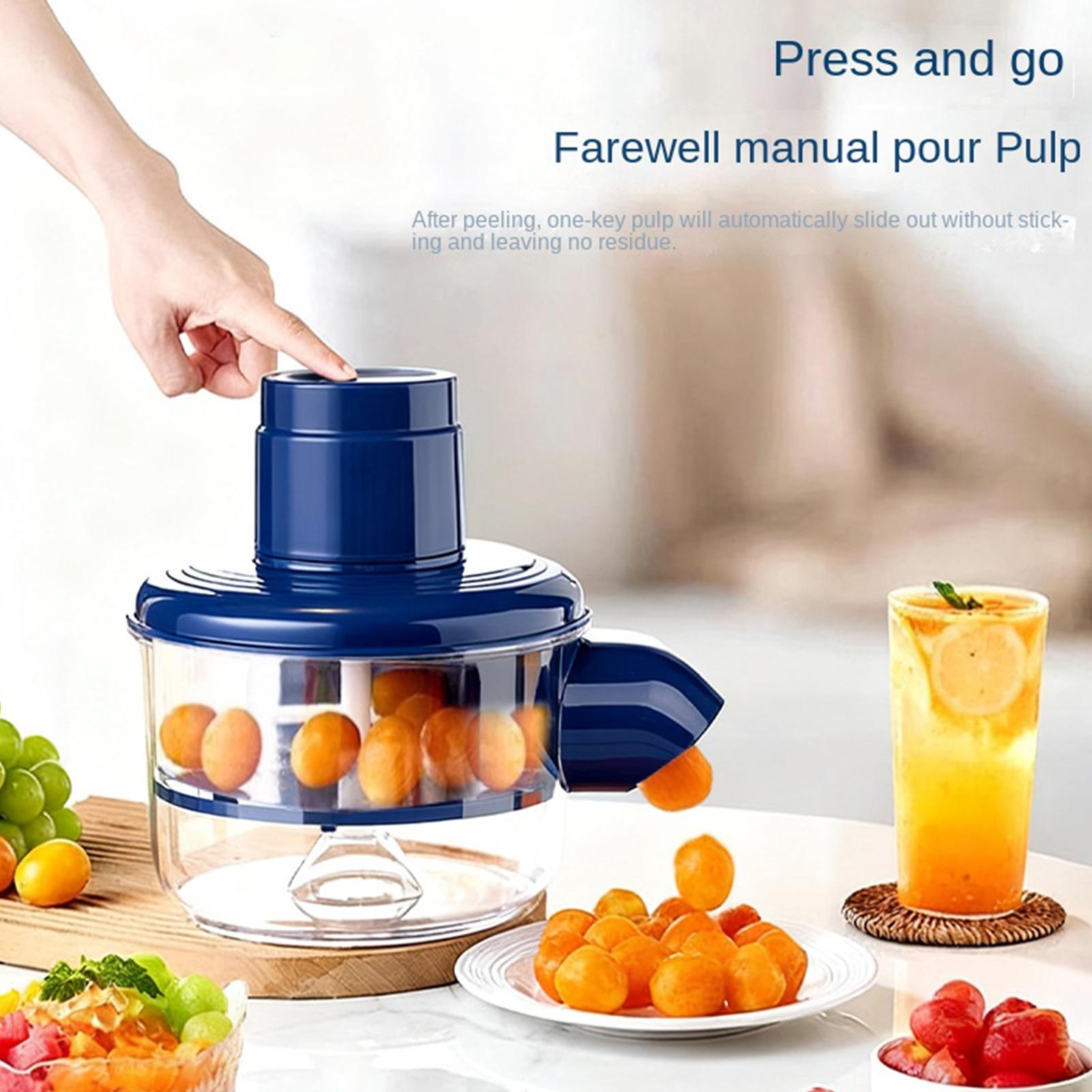 Electric Fruit and Vegetable P - Smart Garden Kitchen ulasan dan harga